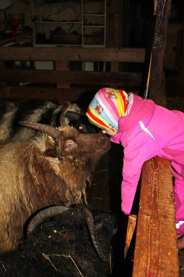 Skjolsteinar Lejlighed Grundarfjörður Eksteriør billede